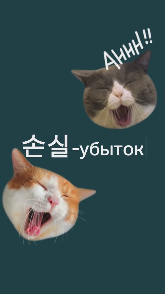 Корейский язык. Лексика для TOPIK2