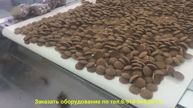 Линия фасовки с мультиголовочным дозатором МГ-10 Упаковка овсяного печенья