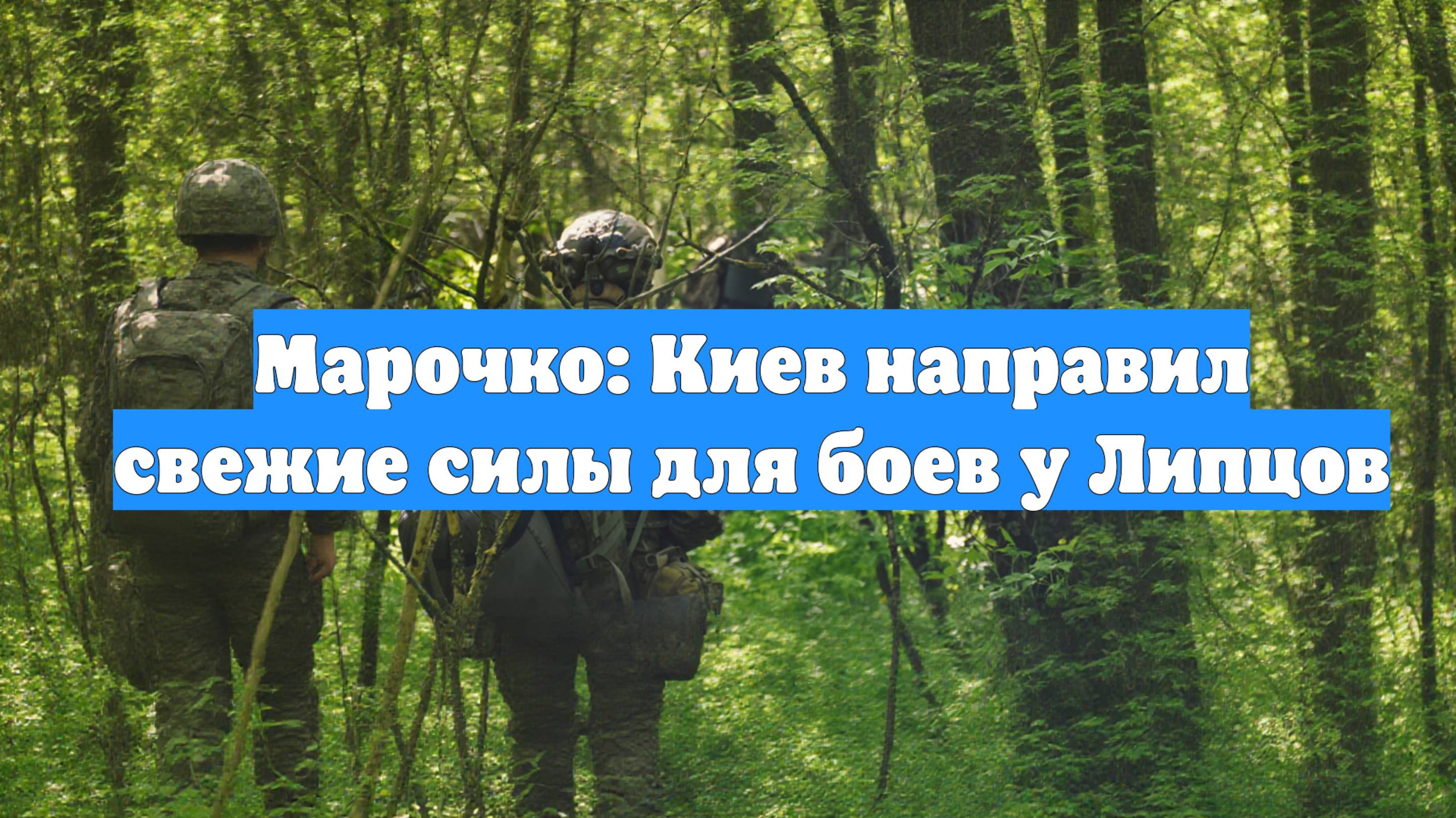 Марочко: Киев направил свежие силы для боев у Липцов