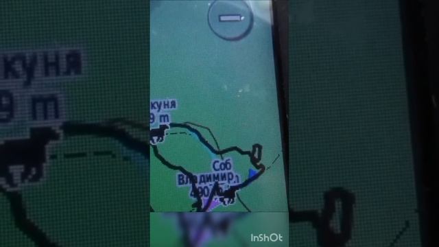 Охота на зайца с русской гончей ч.п/ч Сигнал-Плакуня вл