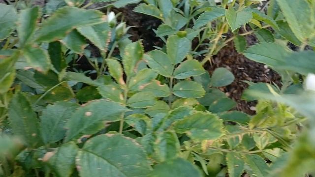20240702_201115 (online-video-cutter.com)