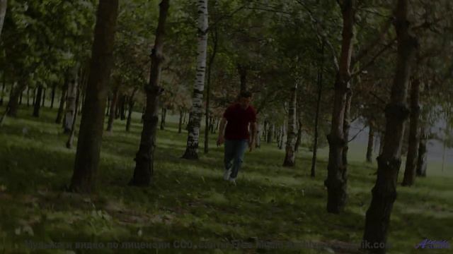 Пейзажи танцуют вместе с каждой нотой - Cest La Vie -- Derek Clegg -- Solar