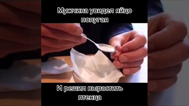Когда ты одновременно - и папа, и мама.