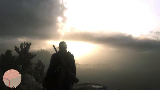Red Dead Redemption 2 смена погоды (PS5)