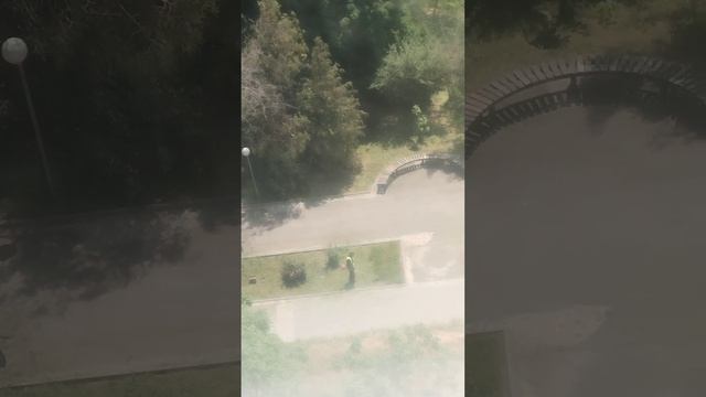 У нас Волгодонске настли траву косить