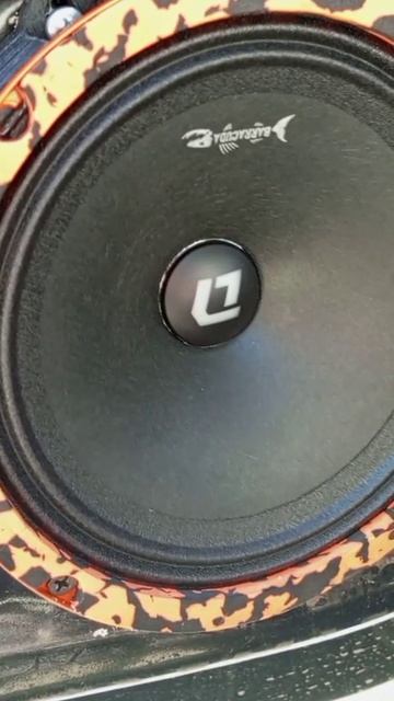 Замена штатных динамиков на Volkswagen Polo V на DL Audio Barracuda SE 165