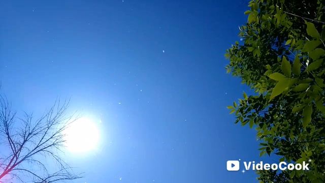 Иванушки Int. - Тополиный пух