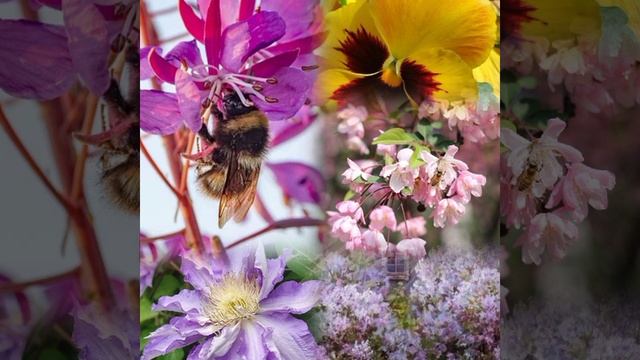 VID_20250523_143550_519.mp4