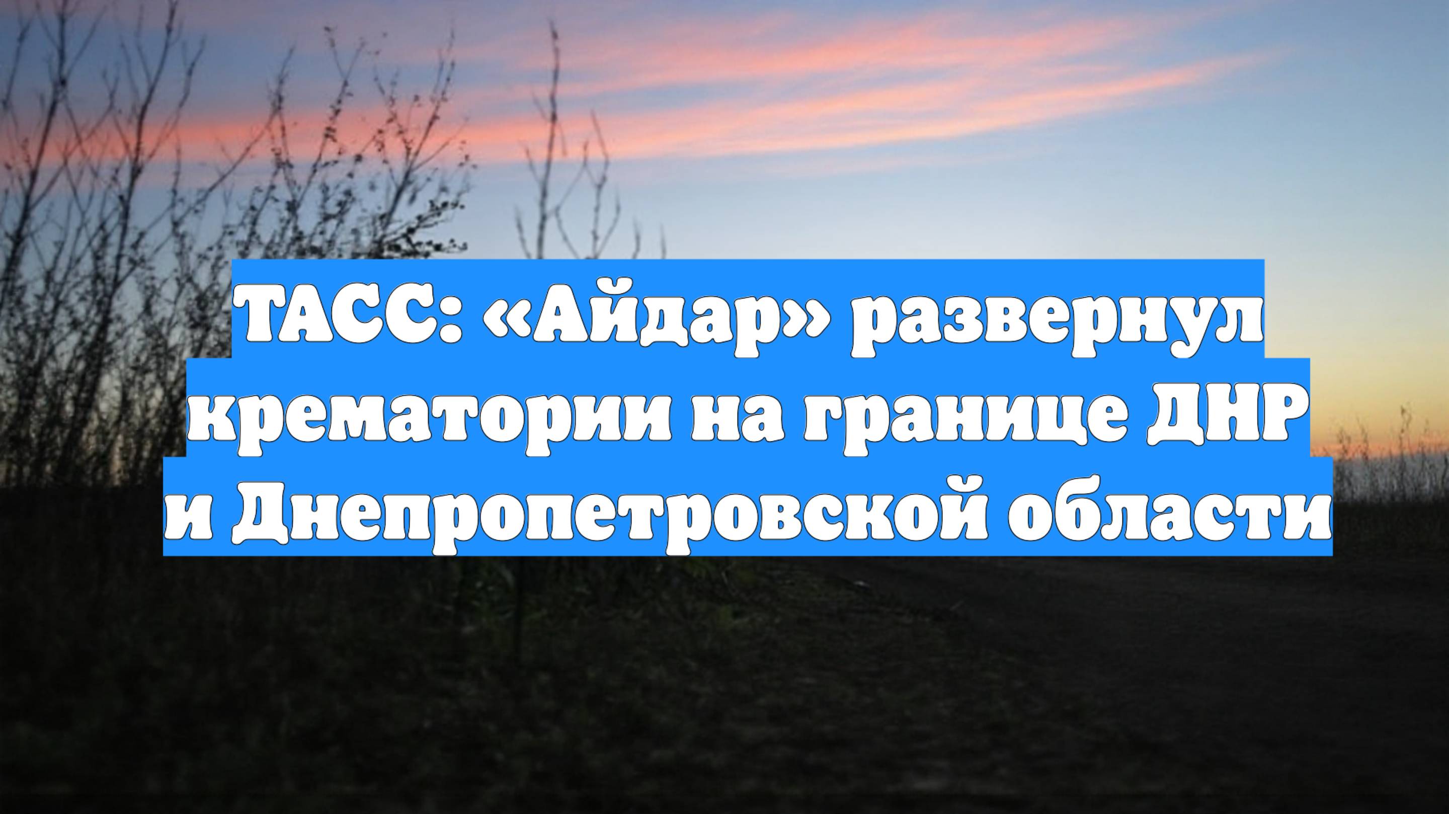 ТАСС: «Айдар» развернул крематории на границе ДНР и Днепропетровской области