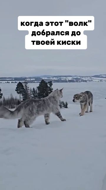 Было😅