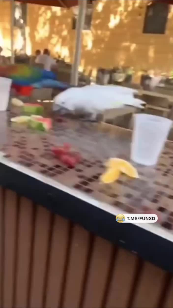 Поздоровался😆