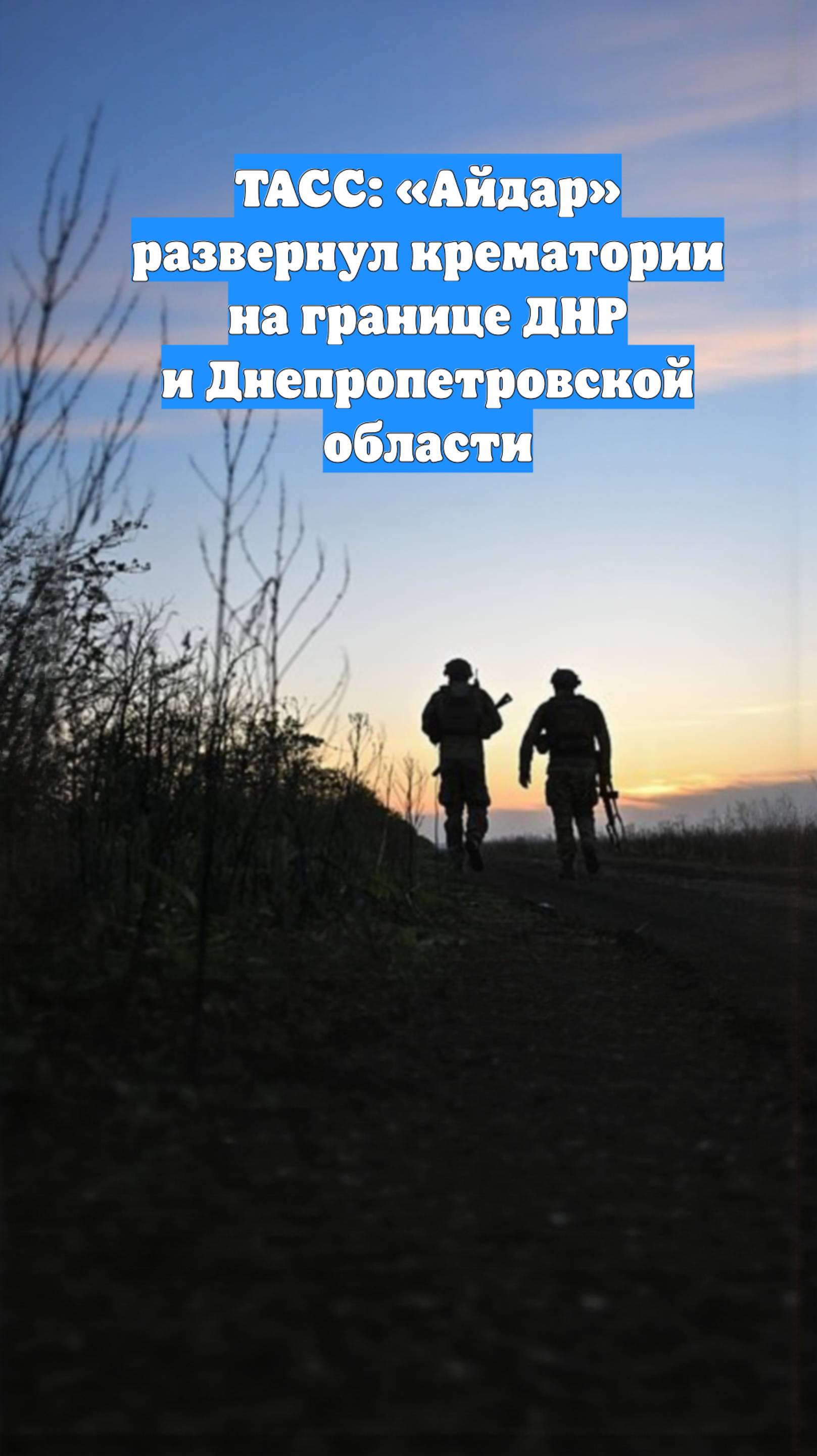 ТАСС: «Айдар» развернул крематории на границе ДНР и Днепропетровской области