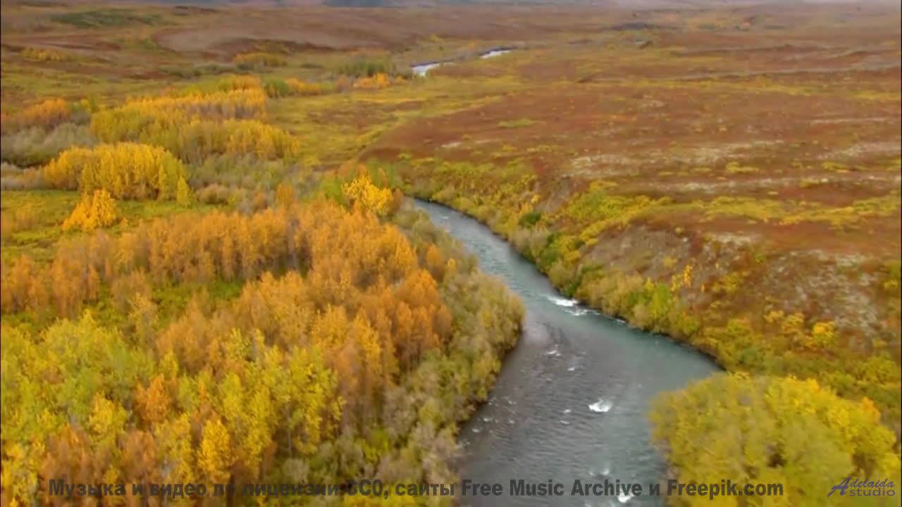 От этих видов под эту музыку мурашки - From A Distance -- Eyelids -- Live at Monty Hall, 11152017