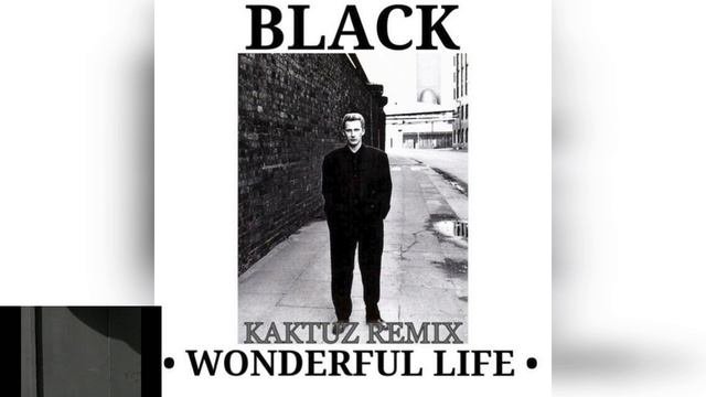 Black - Wonderful Life (KaktuZ RemiX)