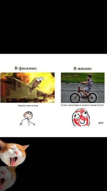 Мемы