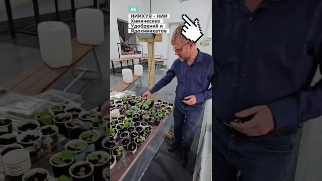 новый институт