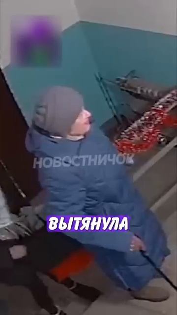 Новостничок (490)