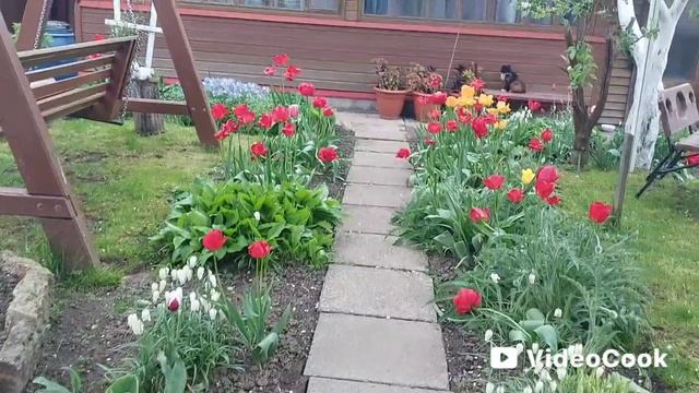 Наша дача 🏡 Обзор дачки этой весны 2025.