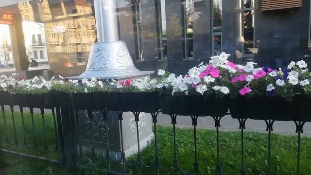 Гомель. Поездка на электробусе №20 Старая Волотова - Ме