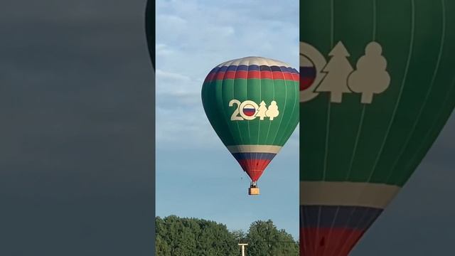 Реакция бультерьера на воздушный шар.