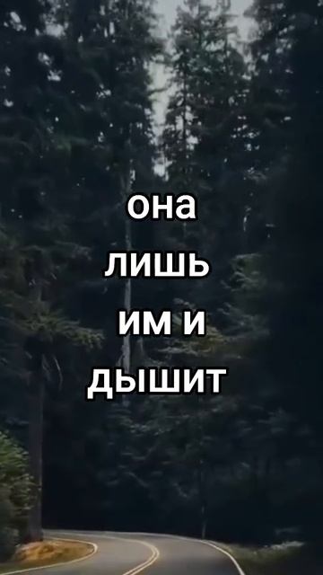 она в сети И он в сети
