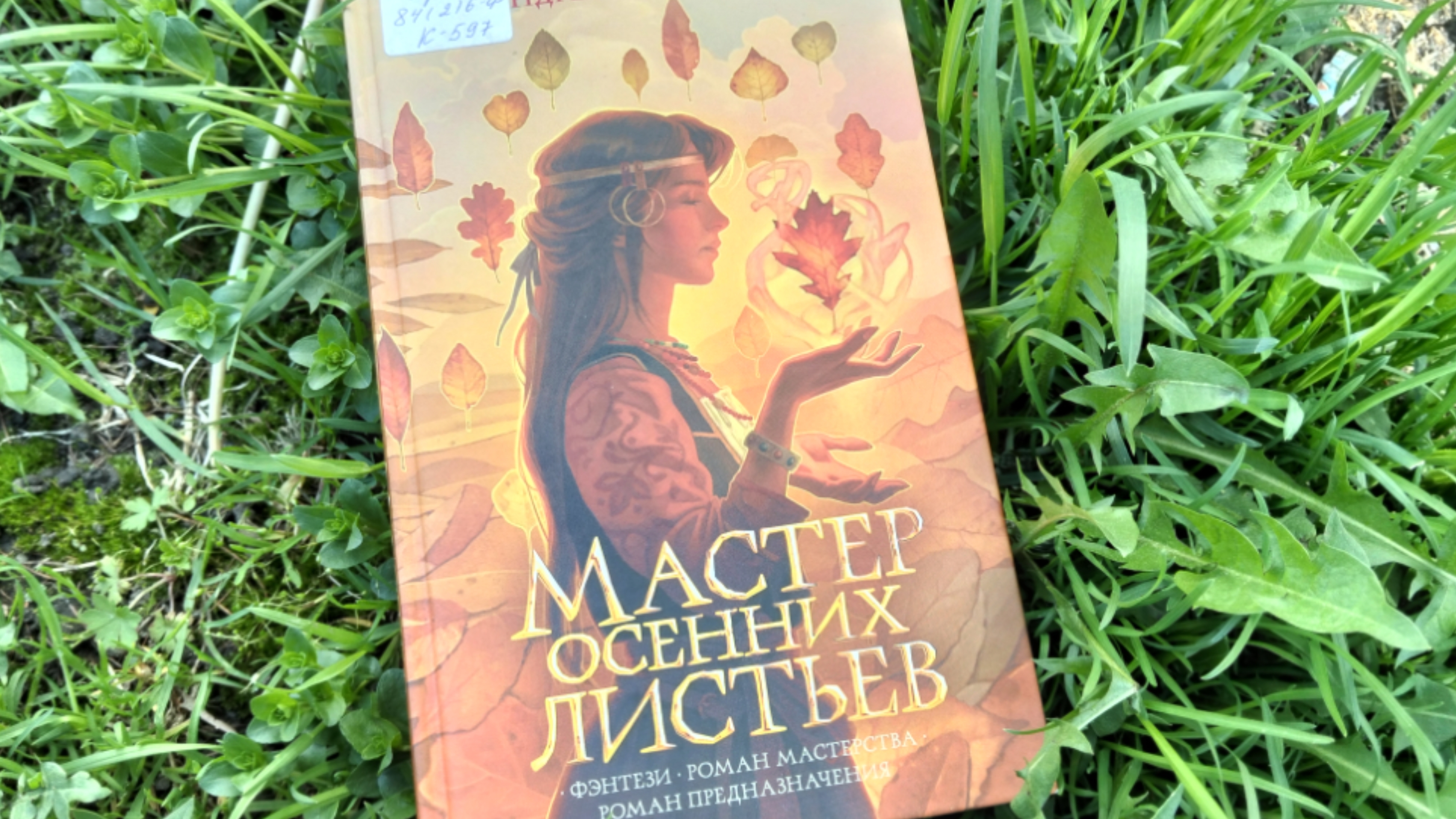 Отзыв на книгу "Мастер осенних листьев" Андрей Кокоулин