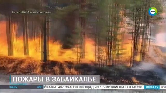 ТК МИР # Новости, Москва, 23 мая 2025
Природные пожары в Забайкальском крае