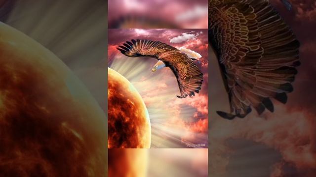 23.5.25.Молитва Благословения 🕊️🕊️🕊️💓💓🕊️🕊️🕊️🦁🦁🦁🩸🩸🔥🔥🔥🔥💦💦💦 Служение Стражей Земли