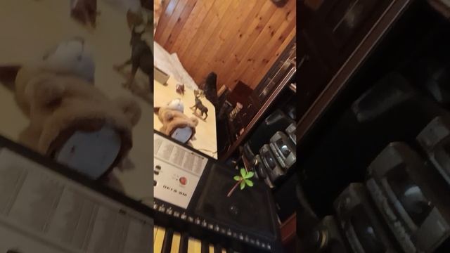 рунтур по дому на даче