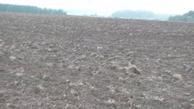 ПОДАРОК НА 1 СЕНТЯБРЯ. И ТУТ ПОПЕРЛО ОДНА ЗА ОДНОЙ!