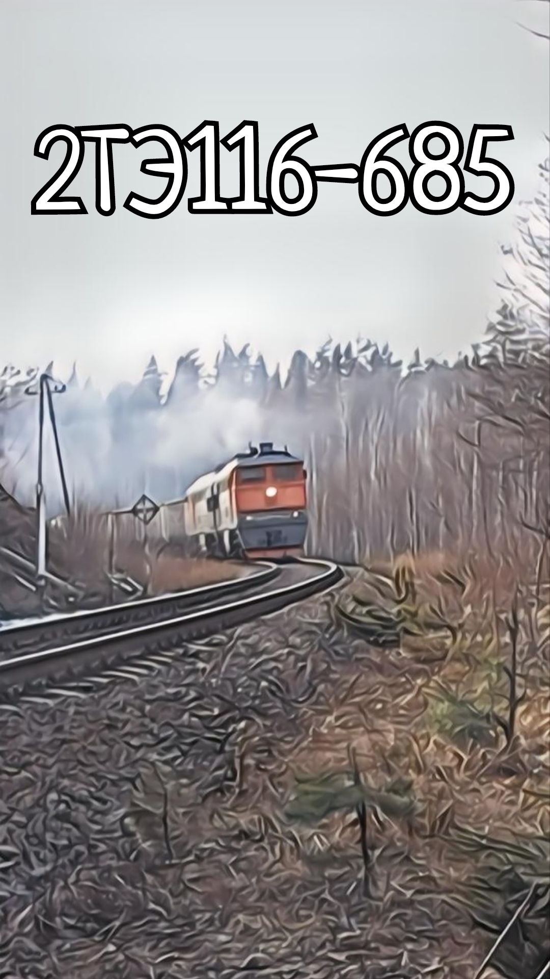 2ТЭ116-685,Красный Сокол. #ЖелезнаяДорога #ОктЖД #РЖД #2ТЭ116 #Тепловоз #Боинг #стошик #КрасныйСокол