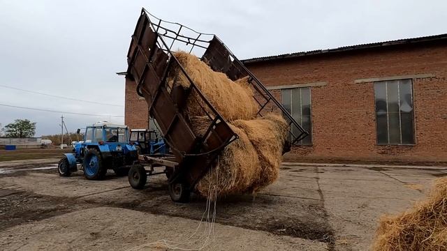 Рабочие будни продолжаются!