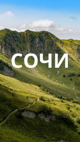 Сочи. shorts