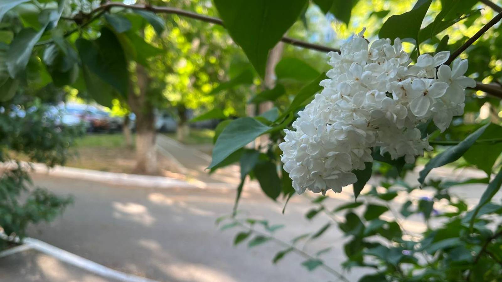 Хрусталева 43 1кк
