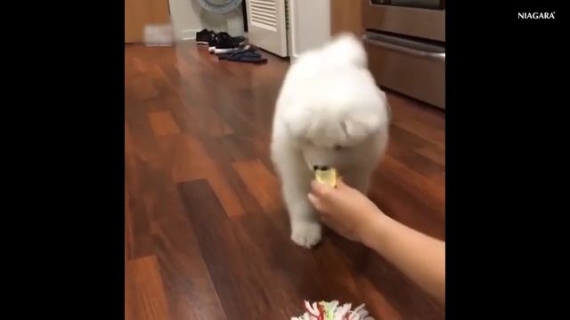 Как вода влияет на вкус еды _ Какую воду использовать, а какую воду лучше пить