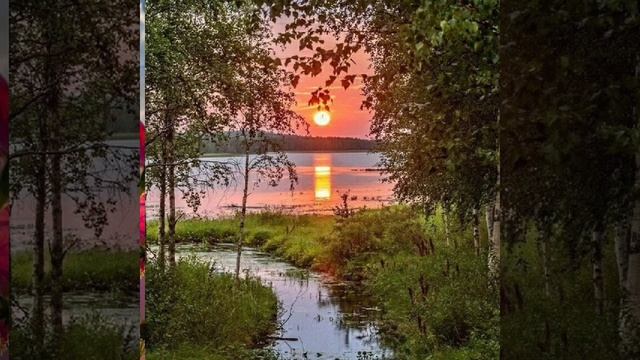 VID_20250523_143412_060.mp4
