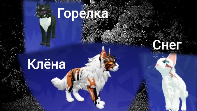 делаю скины котов водителей с пассами(идея не моя!) 1 часть