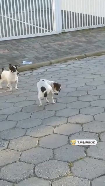 Тащу себя на работу в 7 утра😅