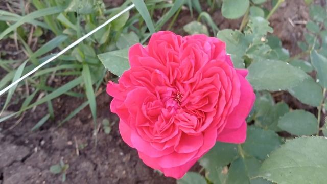 20240702_201842 (online-video-cutter.com)