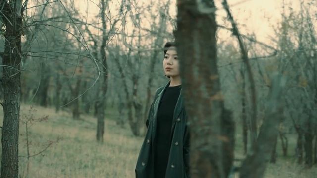 13297343_1920_1080_60fps