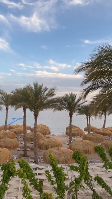 Continental Plaza Beach Resort & Aqua Park 4* Континенталь Плаза Бич Резорт 4* Шарм-эль-Шейх Египет