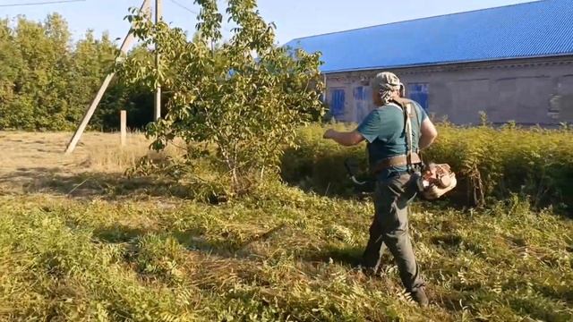 Как Мульчирующий нож рубит толстые ветки. Ответ диван?