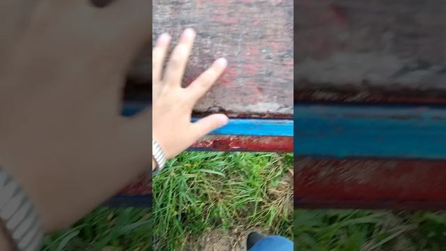 ПОЯВЛЕНИЕ СТЁПЫЧА