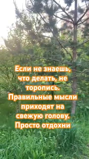 Отдохни