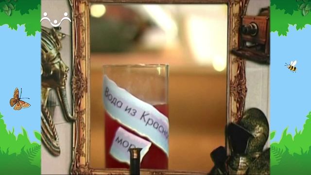 Утро в Шишкином Лесу. Музей. Вода
