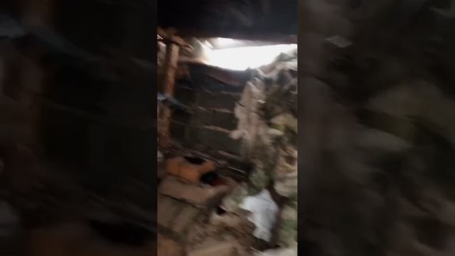 Архив