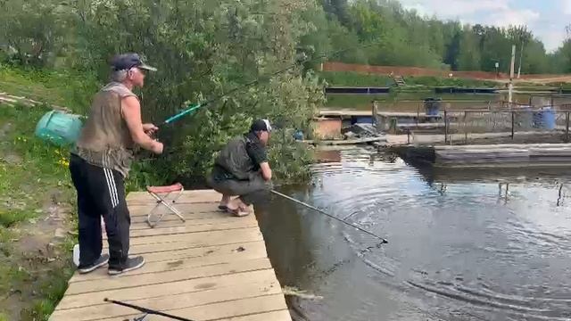 Сергей Кадр в деле Осетр