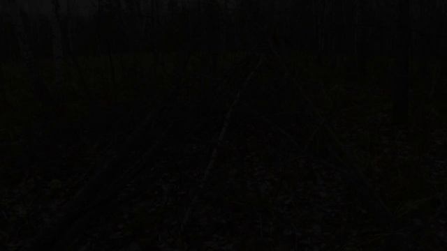Охота с Русской гончей по боровой дичи!