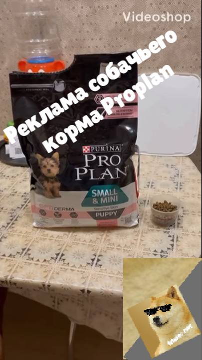 Реклама собачьего корма Proplan