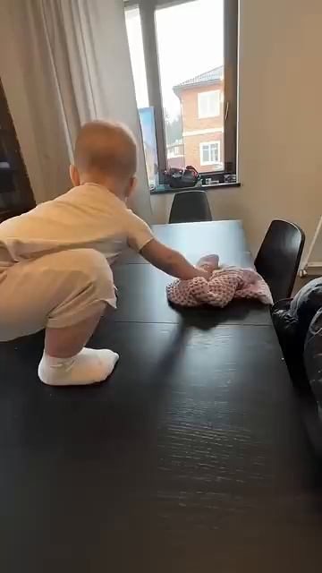 Павлов Family (303)